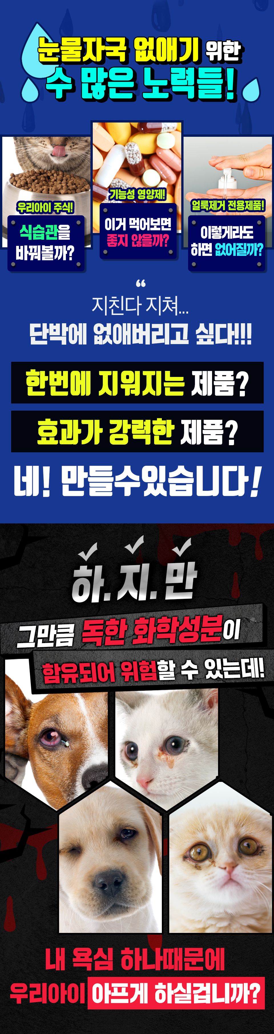 울지마마이펫 지워라 눈물자국  2번째