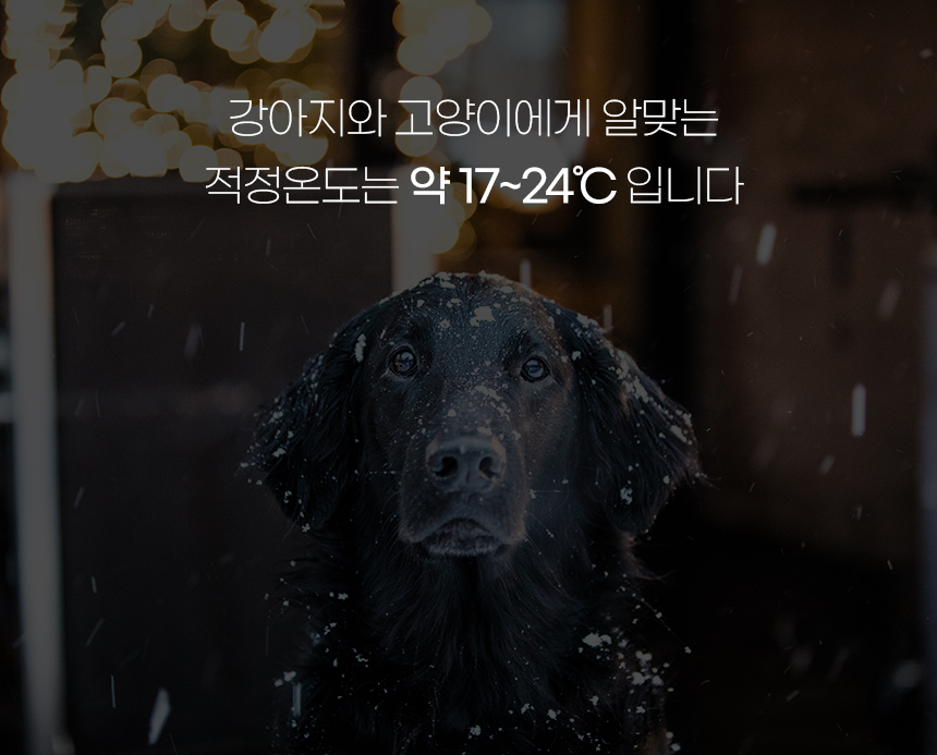 [NEW신상][무료배송] 개과천선 윈터 빈백 방석 (아이보리/그레이) 3번째