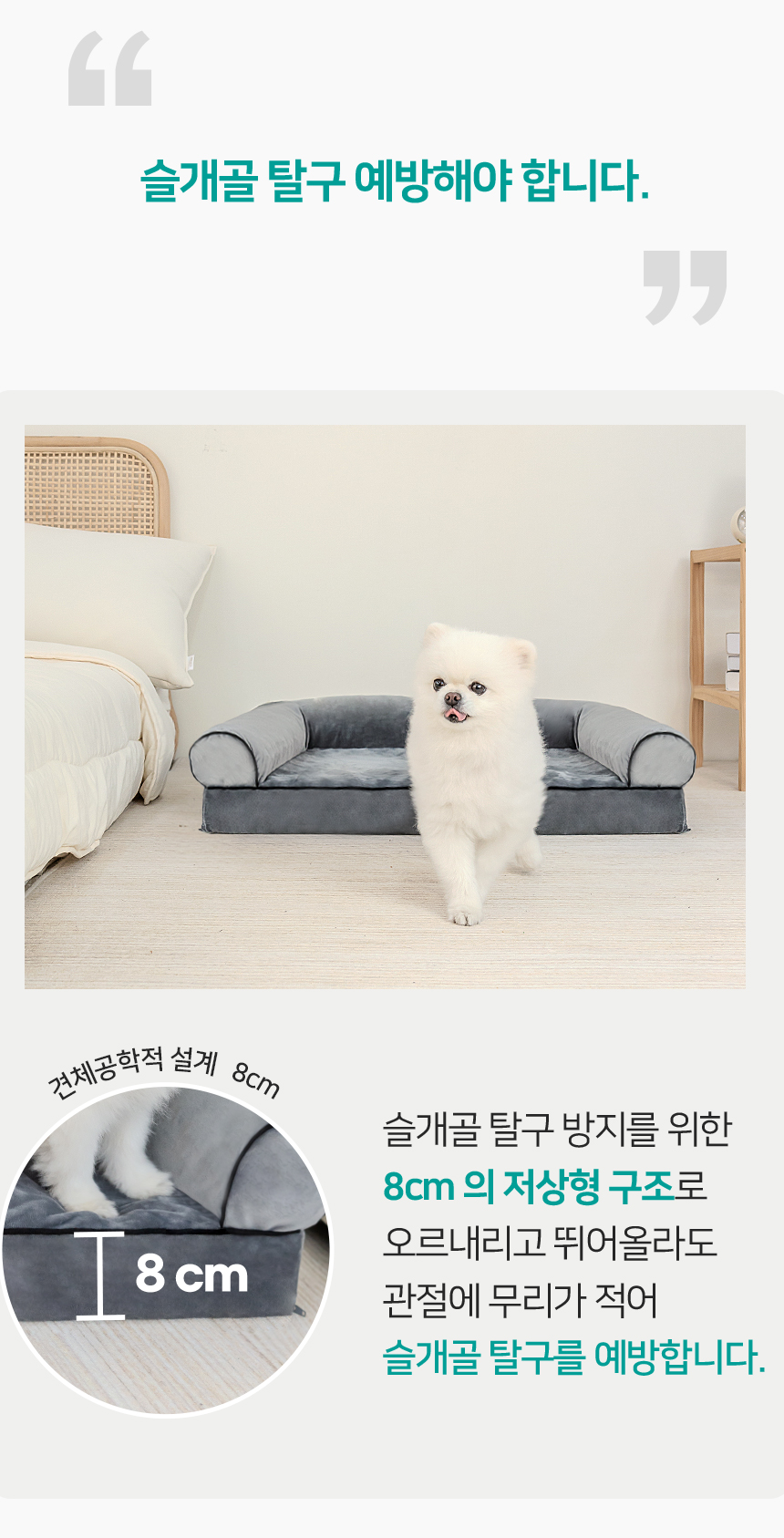 [무료배송] 레토 강아지 침대 방석 소파 쿠션 대형 76x51 LDC-S06 14번째