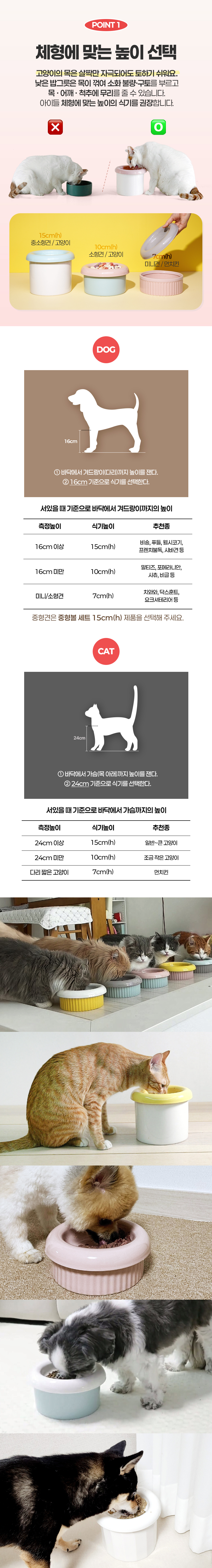 [무료배송] 보울보울 소형견/고양이 밥그릇 헬로 도넛볼 세트 10cm(h) 3번째