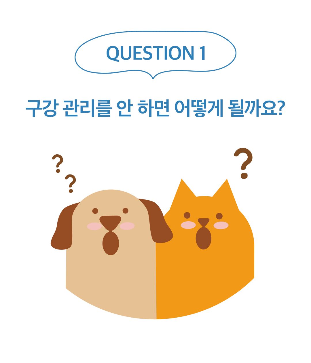 [NEW신상]페디슨 덴탈케어 스케일러 14번째
