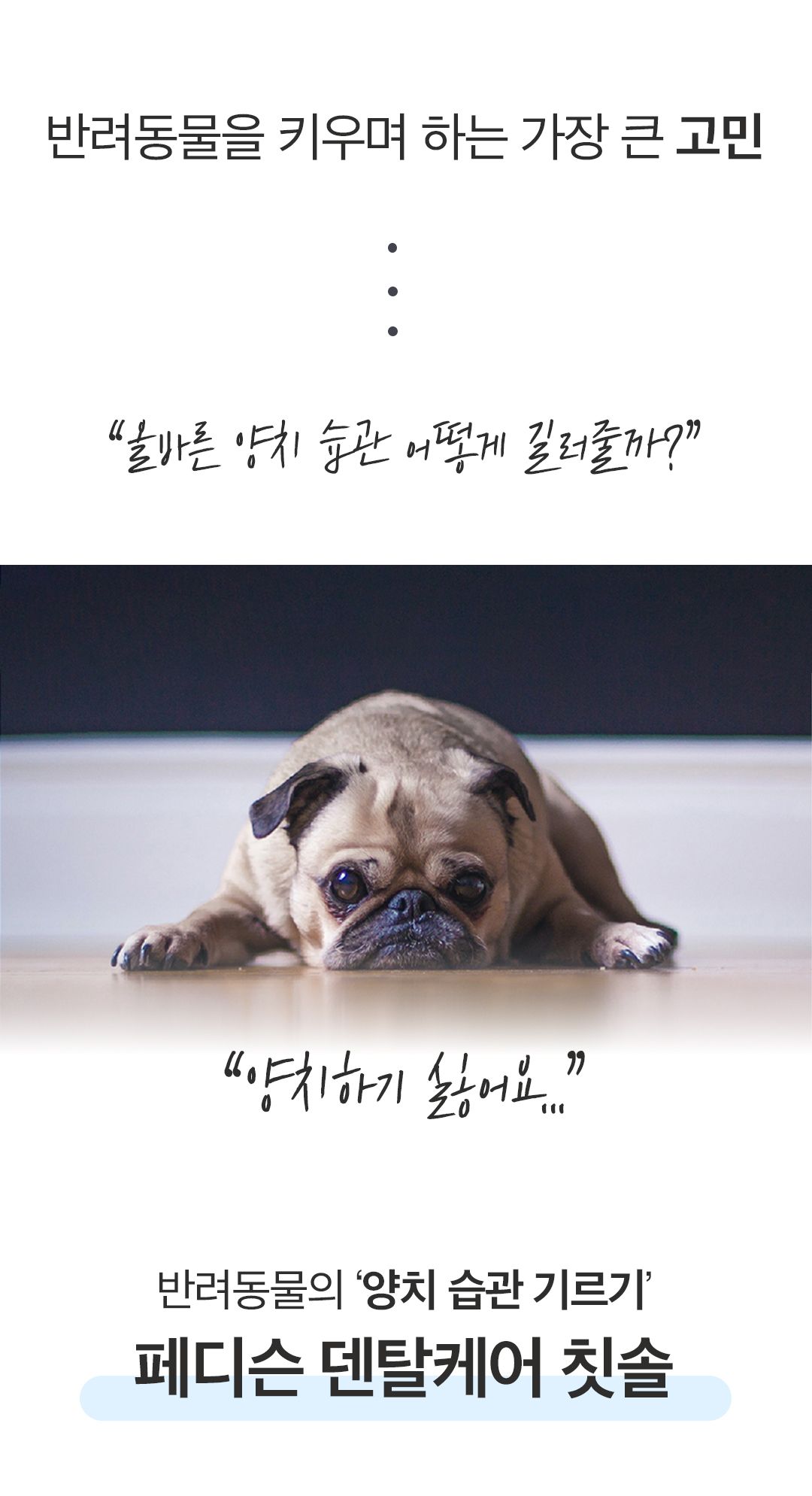 [NEW신상]페디슨 덴탈케어 스케일러 9번째