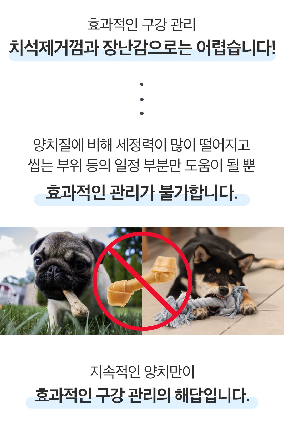 [NEW신상]페디슨 덴탈케어 스케일러 17번째