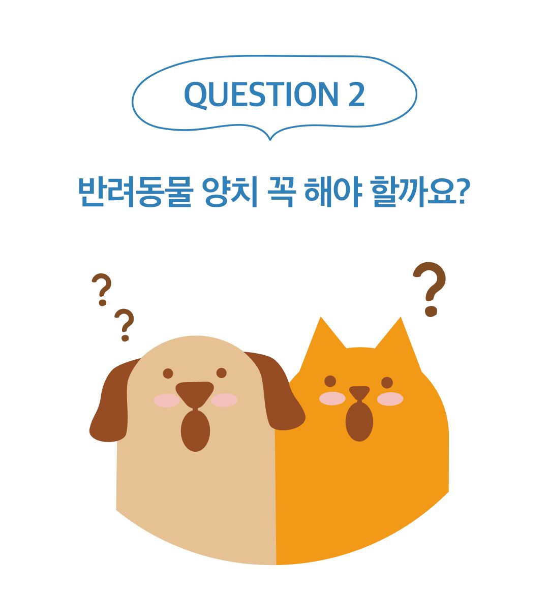 [NEW신상]페디슨 덴탈케어 스케일러 16번째