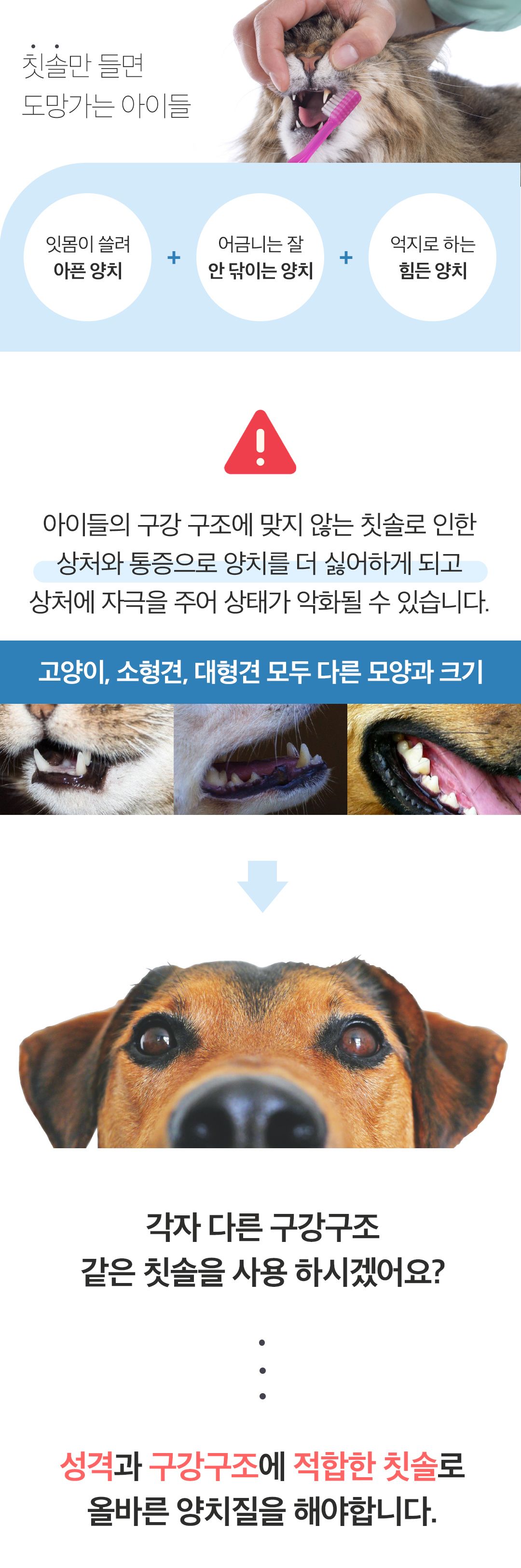 [NEW신상]페디슨 덴탈케어 스케일러 19번째