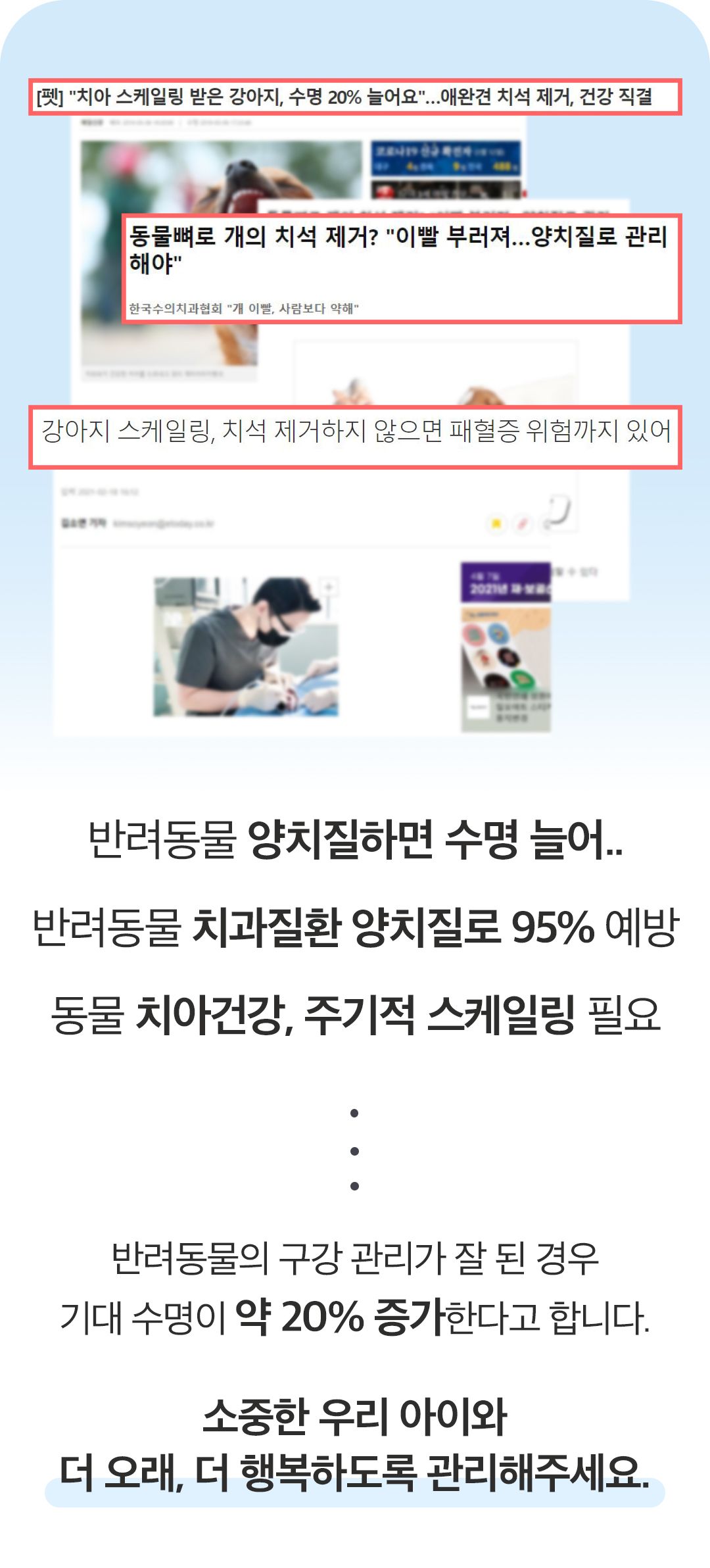 [NEW신상]페디슨 덴탈케어 스케일러 18번째