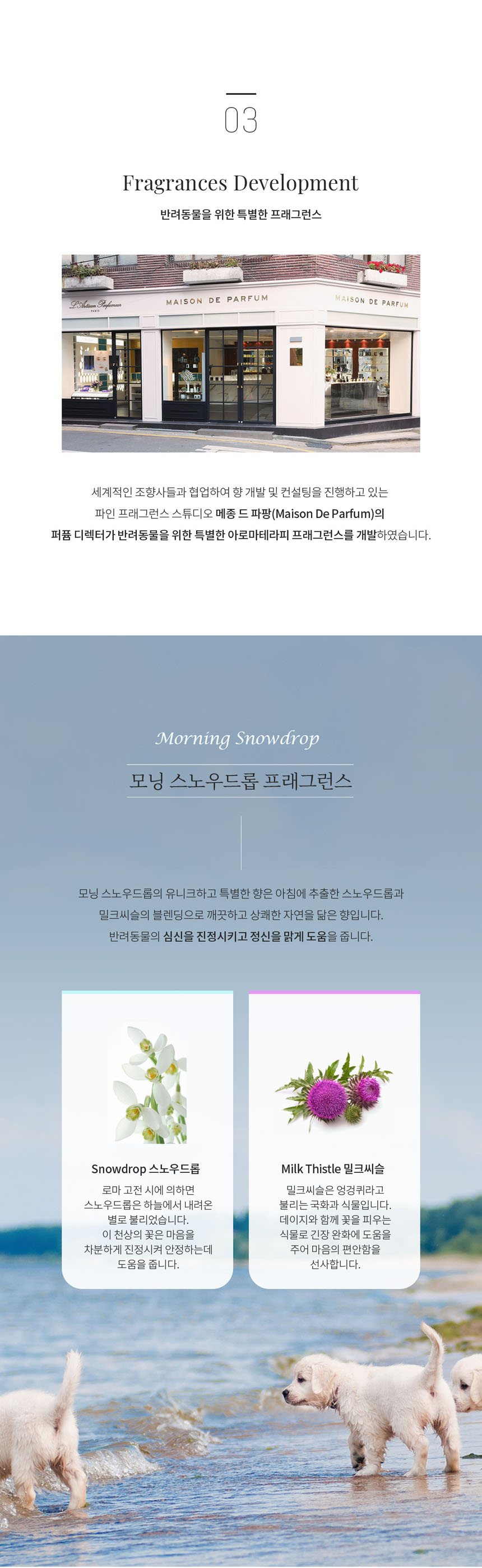 [무료배송] 플로리스클린 펫미스트 모닝스노우드롭 5번째
