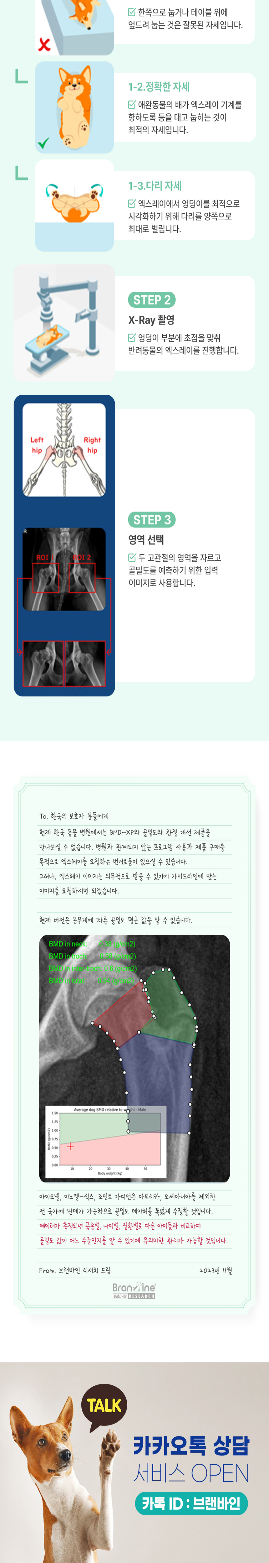 [무료배송] 브랜바인 이노엘식스 관절 영양제 87g 9번째