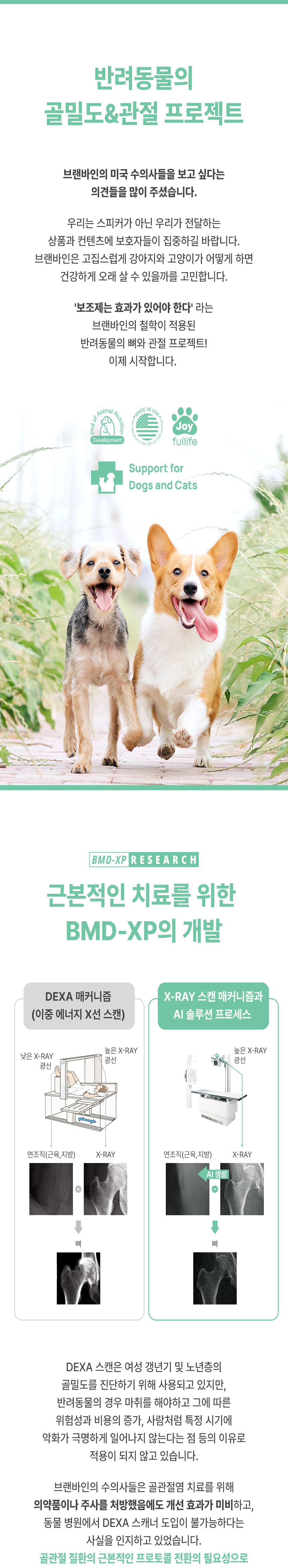 [무료배송] 브랜바인 이노엘식스 관절 영양제 87g 4번째