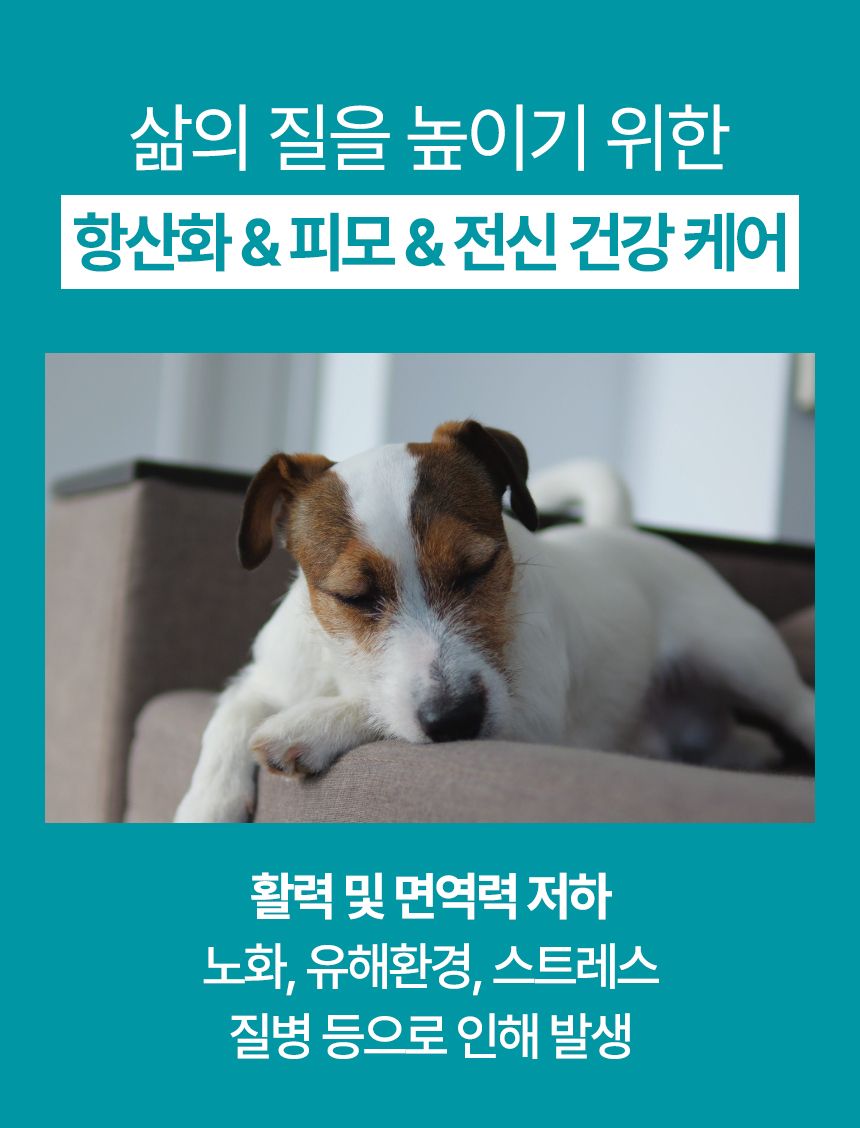 펫생각 임상완료 리포좀 후코이단 프로 씨놀  종합 항산화제 종양 항염 영양제 30정 5번째