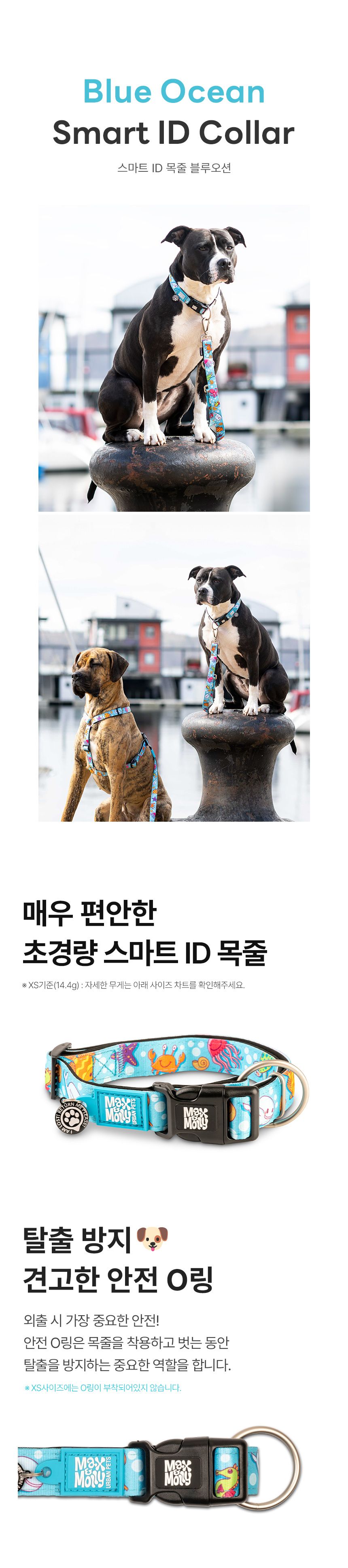 [무료배송] 맥스앤몰리 스마트 ID 목줄 리틀몬스터/스트로베리/트로피칼/블루오션/워터멜론 XS-L 10번째