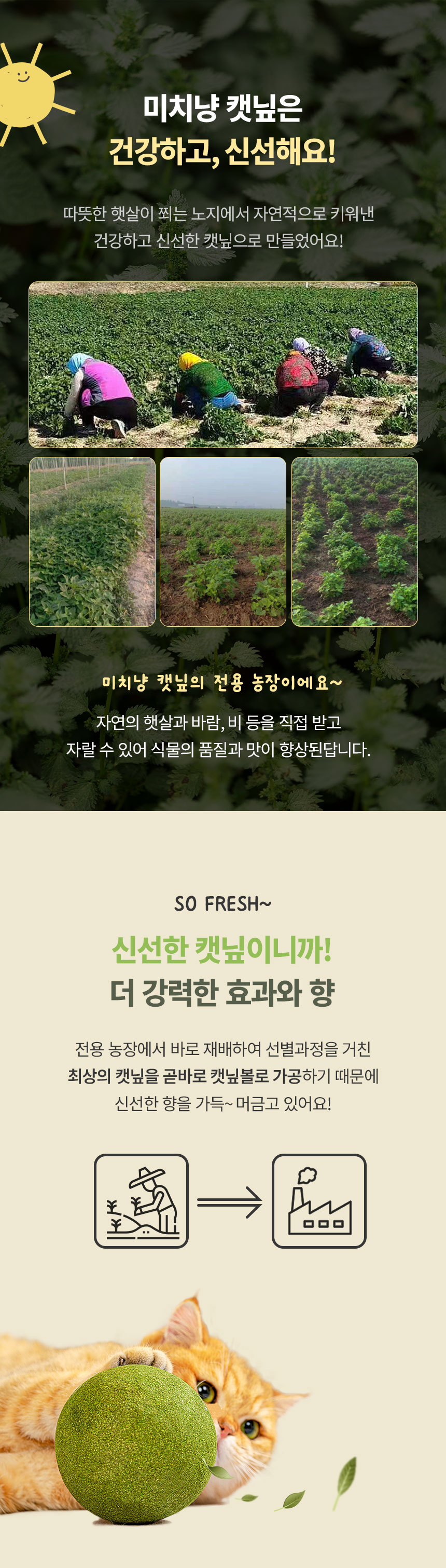 [무료배송] [3개] 크레용펫 미치냥 캣닢 스네이크 낚시대 리필 4번째