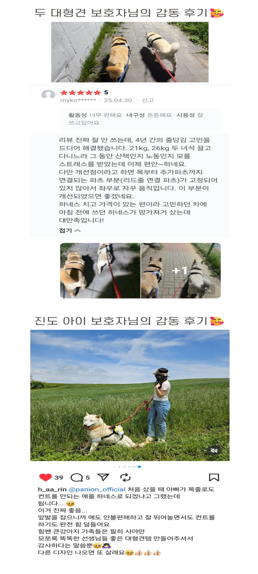[무료배송] 파니온 대형견 앞섬방지 하네스 2번째