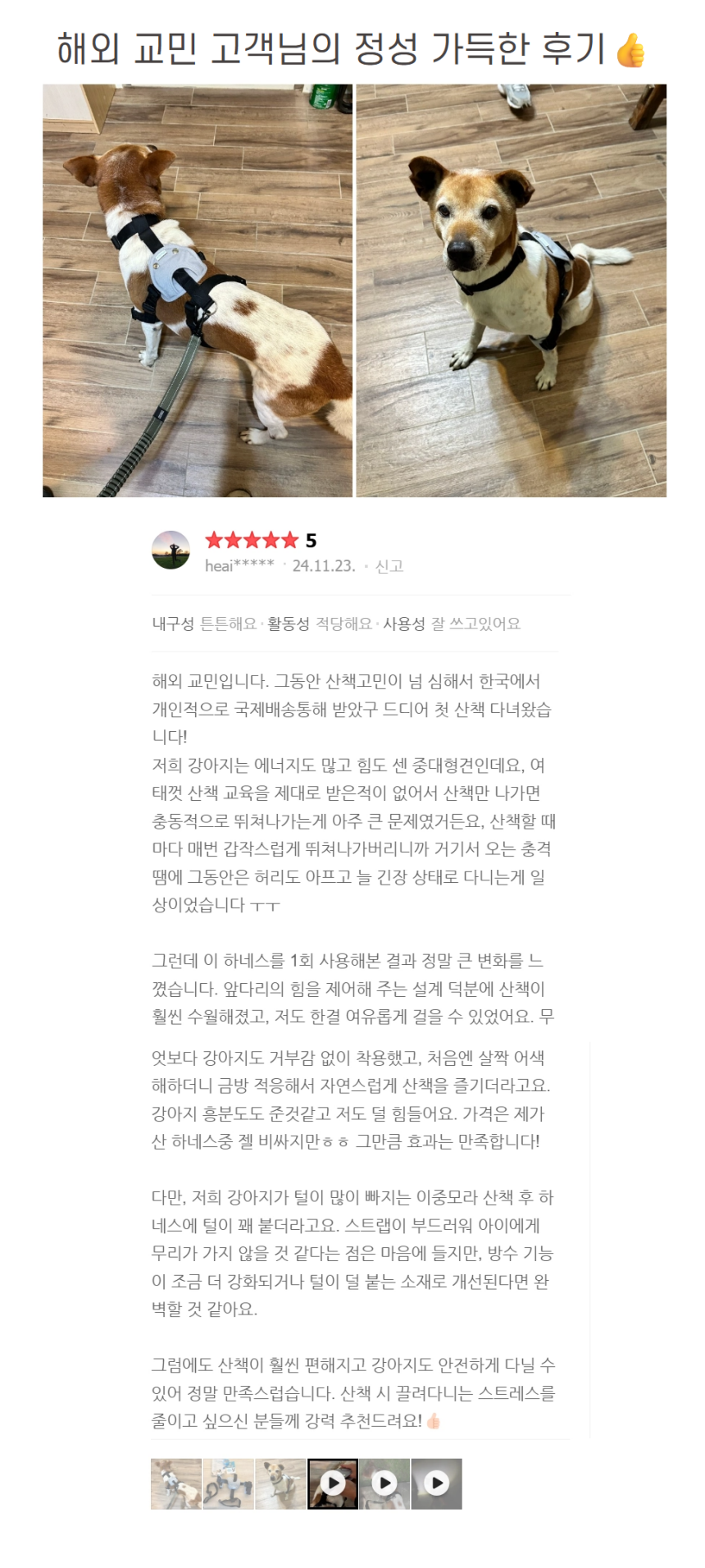 [무료배송] 파니온 대형견 앞섬방지 하네스 1번째