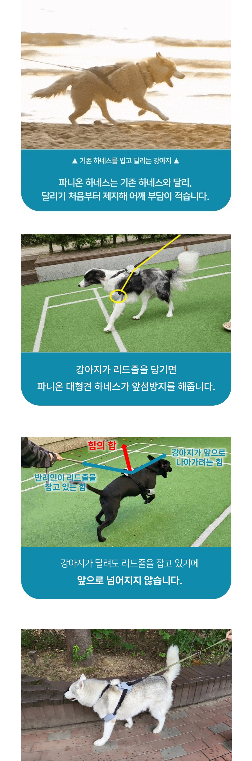 [무료배송] 파니온 대형견 앞섬방지 하네스 4번째