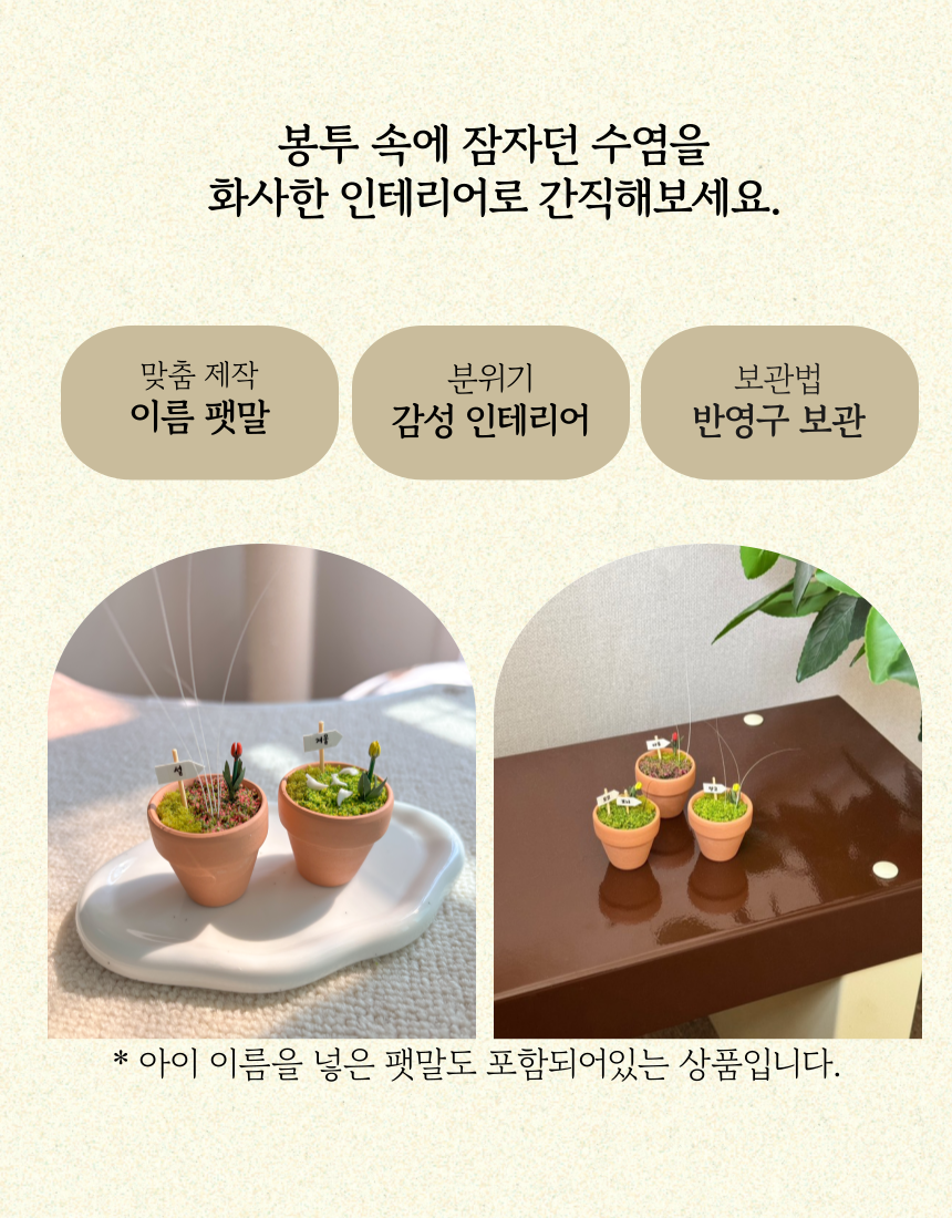 [무료배송] 일로네 상점 고양이 수염 화분 보관함 2번째 상세 이미지