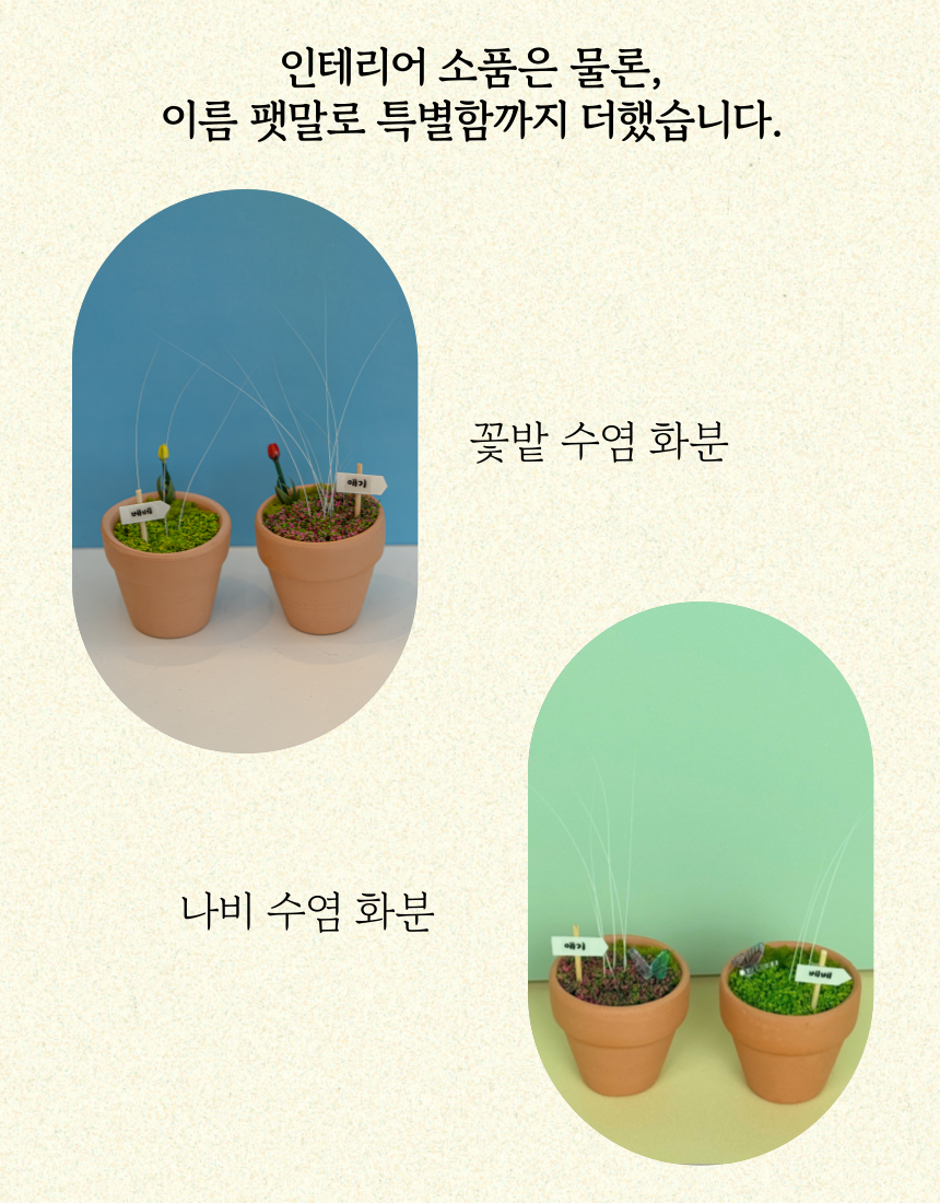 [무료배송] 일로네 상점 고양이 수염 화분 보관함 3번째 상세 이미지