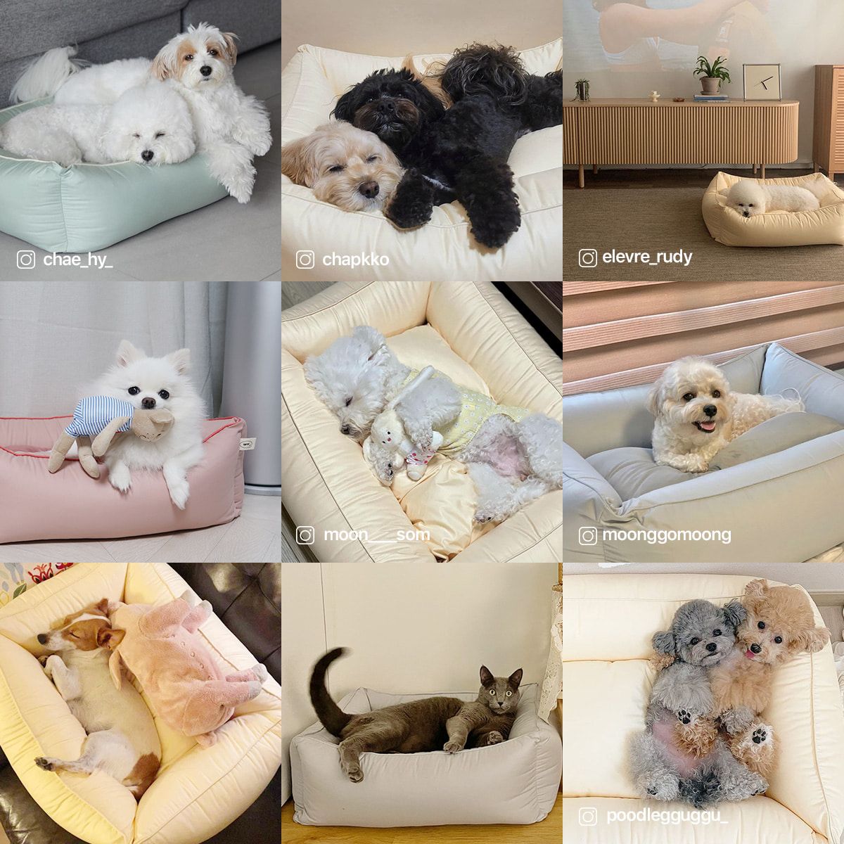[NEW신상]아르르 꿀잠방석 V2 더스티로즈/더스티카키/크림옐로우/그레이 5번째