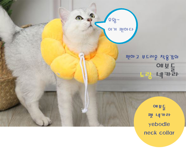 [무료배송] 예보들 반려동물 넥카라 XS-L 1번째