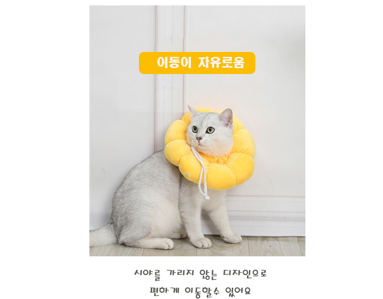 [무료배송] 예보들 반려동물 넥카라 XS-L 6번째