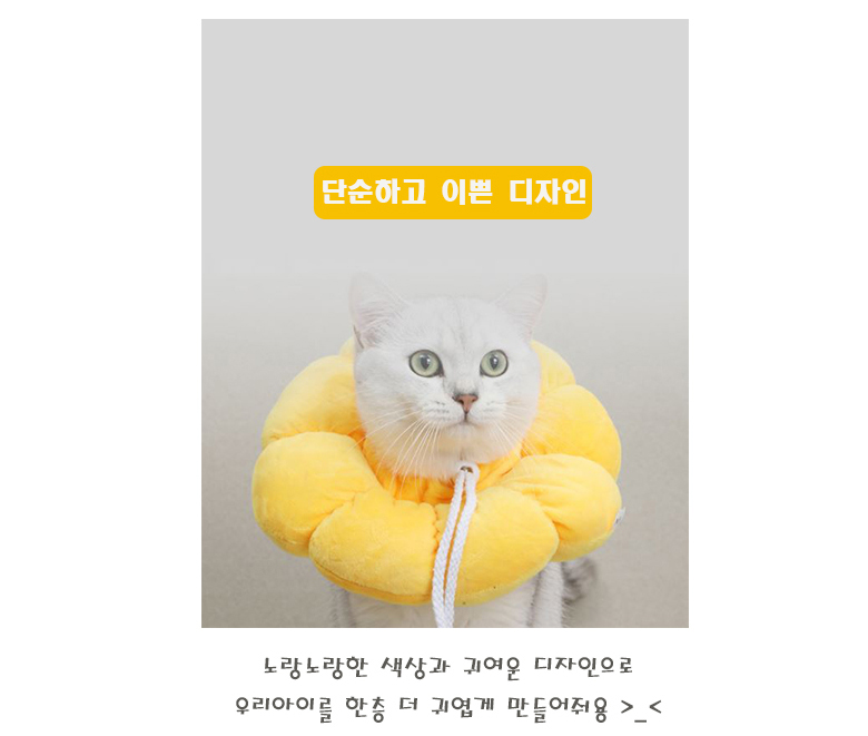 [무료배송] 예보들 반려동물 넥카라 XS-L 7번째
