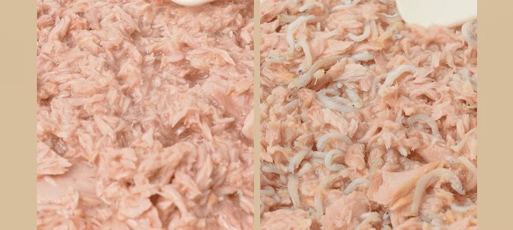 조공 소피 캣 내추럴 닭 90g 19번째