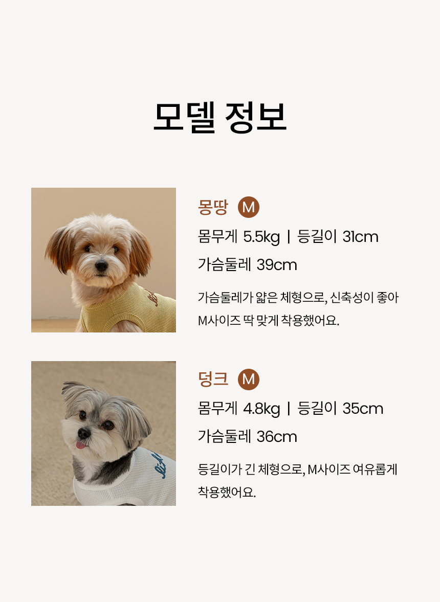 [NEW신상][무료배송] 리카리카 와플 레터링 슬리브리스 3종 SM-2XL 6번째