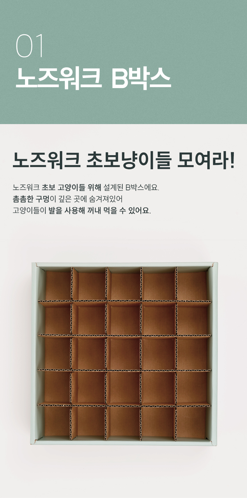 [무료배송] 캣츠태그 의젓한 고양이 노즈워크 장난감 B박스 4번째
