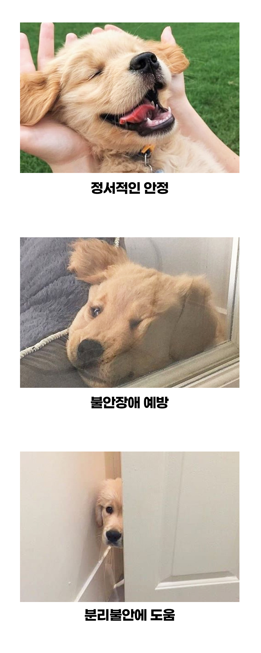 [NEW신상][무료배송] 개과천선 스타 삼각 하우스 (스트라이프 핑크/스트라이프 그레이) 6번째