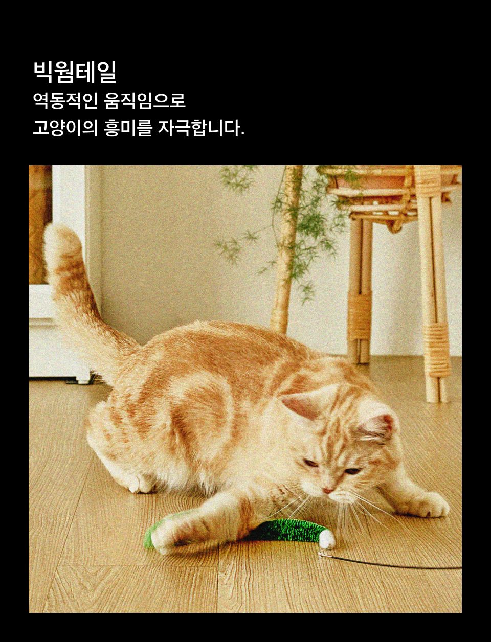 우다다맨숀 빅웜테일 낚시대 그린 3번째