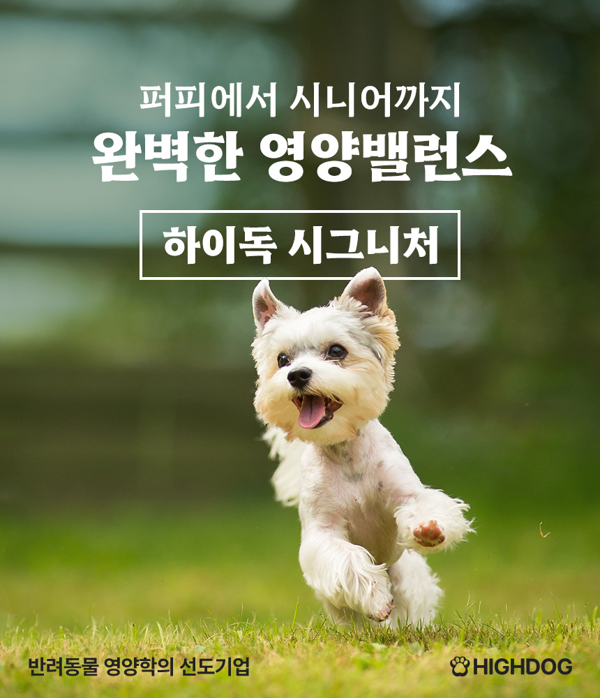 [무료배송] 하이독 시그니처 소고기 화식 100g*20팩 1번째