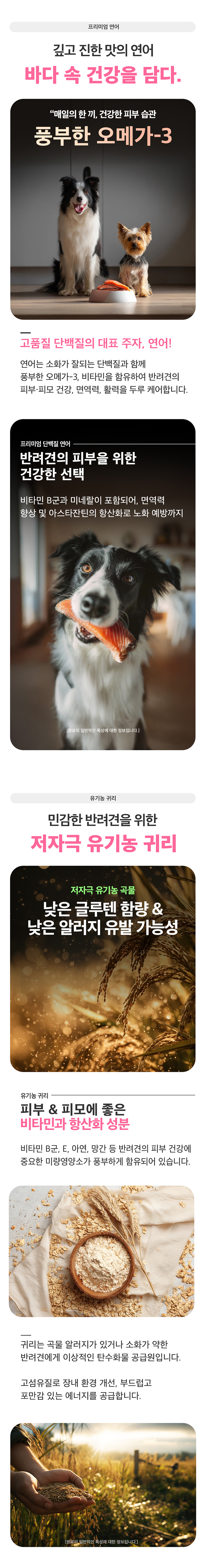 [NEW신상][무료배송] 하루올데이 피부 기능성 유기농 수제 사료 1kg 8번째