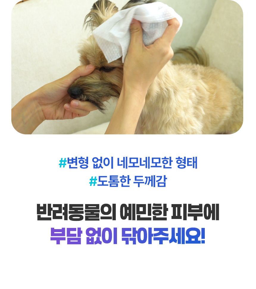 [NEW신상]펫생각 데일리케얼 라비엔 퓨어 펫 티슈 80매  4번째