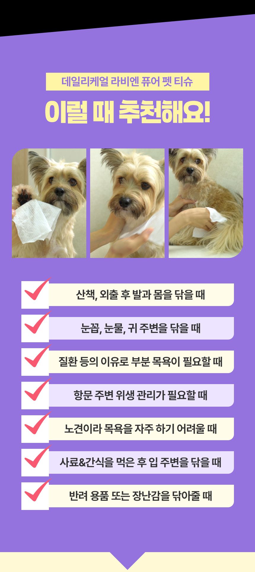 [NEW신상]펫생각 데일리케얼 라비엔 퓨어 펫 티슈 80매  11번째