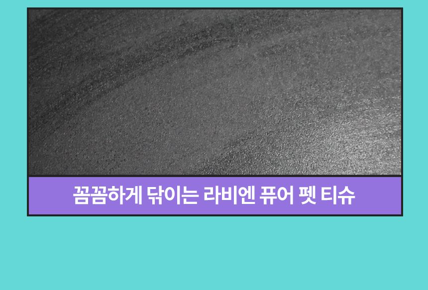 [NEW신상]펫생각 데일리케얼 라비엔 퓨어 펫 티슈 80매  19번째