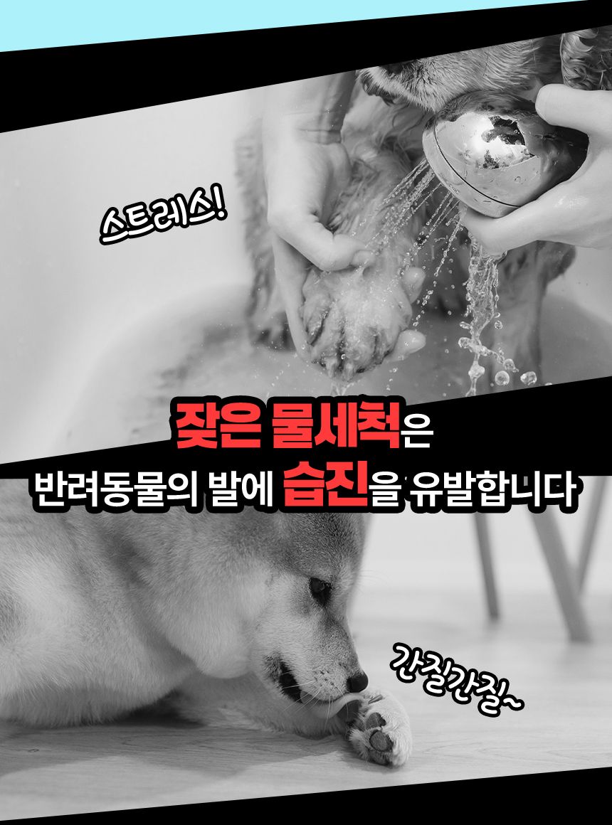 [NEW신상]펫생각 데일리케얼 라비엔 퓨어 펫 티슈 80매  10번째