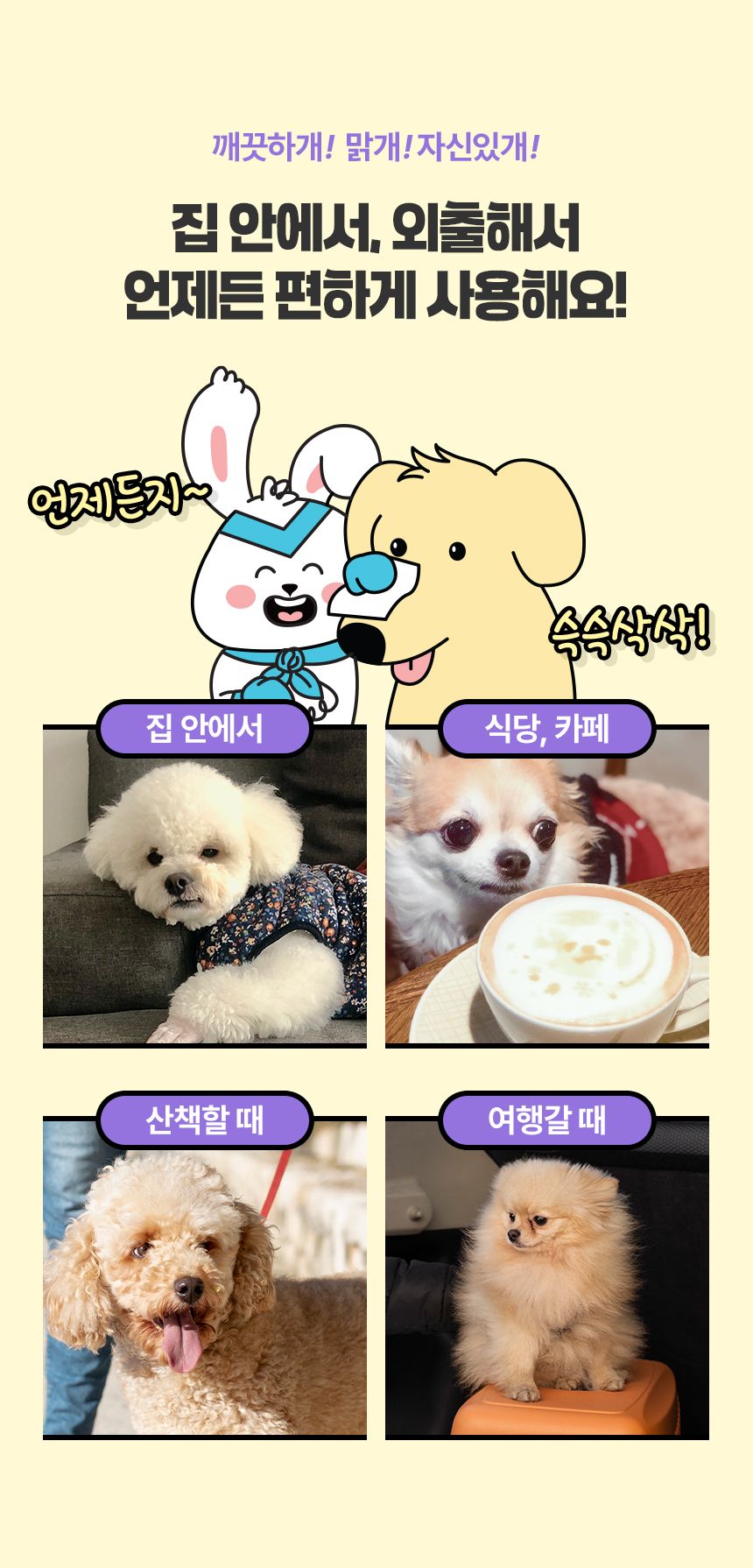 [NEW신상]펫생각 데일리케얼 라비엔 퓨어 펫 티슈 80매  12번째