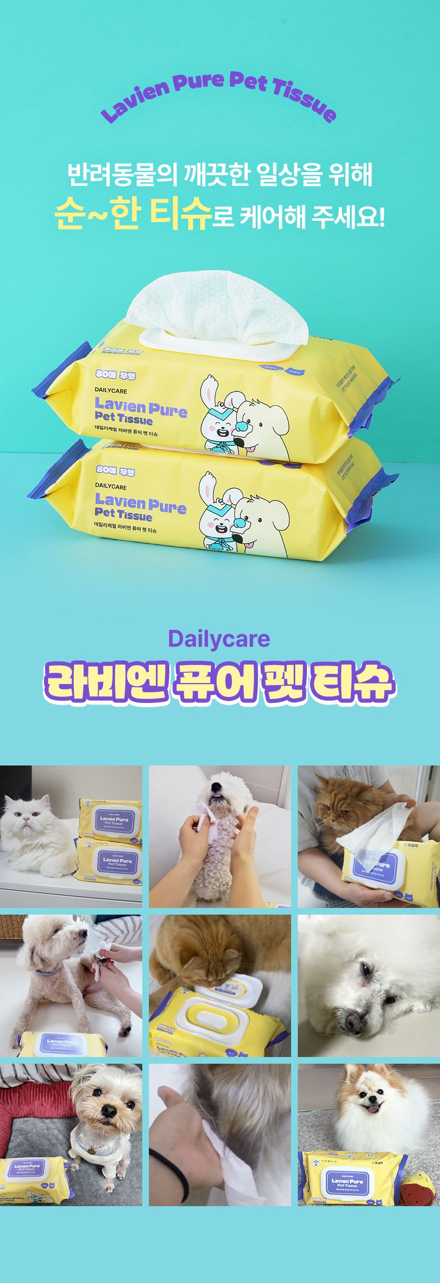 [NEW신상]펫생각 데일리케얼 라비엔 퓨어 펫 티슈 80매  2번째