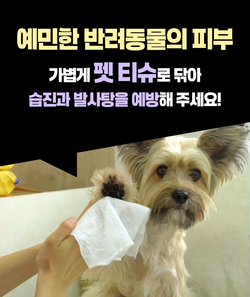 [NEW신상]펫생각 데일리케얼 라비엔 퓨어 펫 티슈 80매  9번째