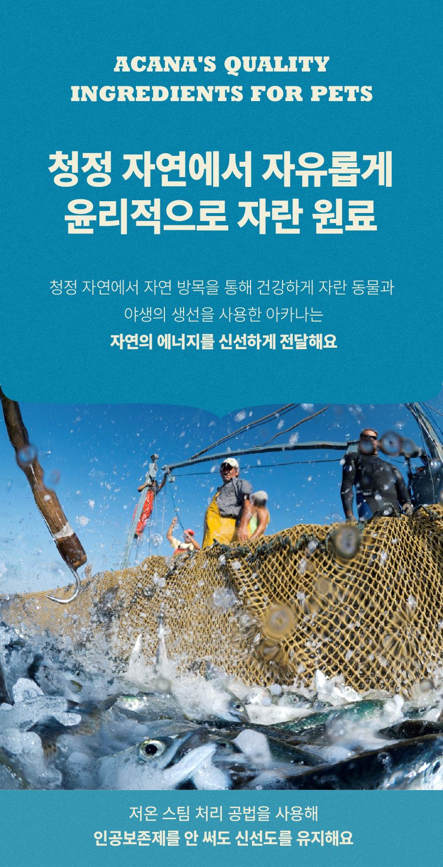 [NEW신상]아카나 독 와일드 코스트 레시피 2kg 6번째
