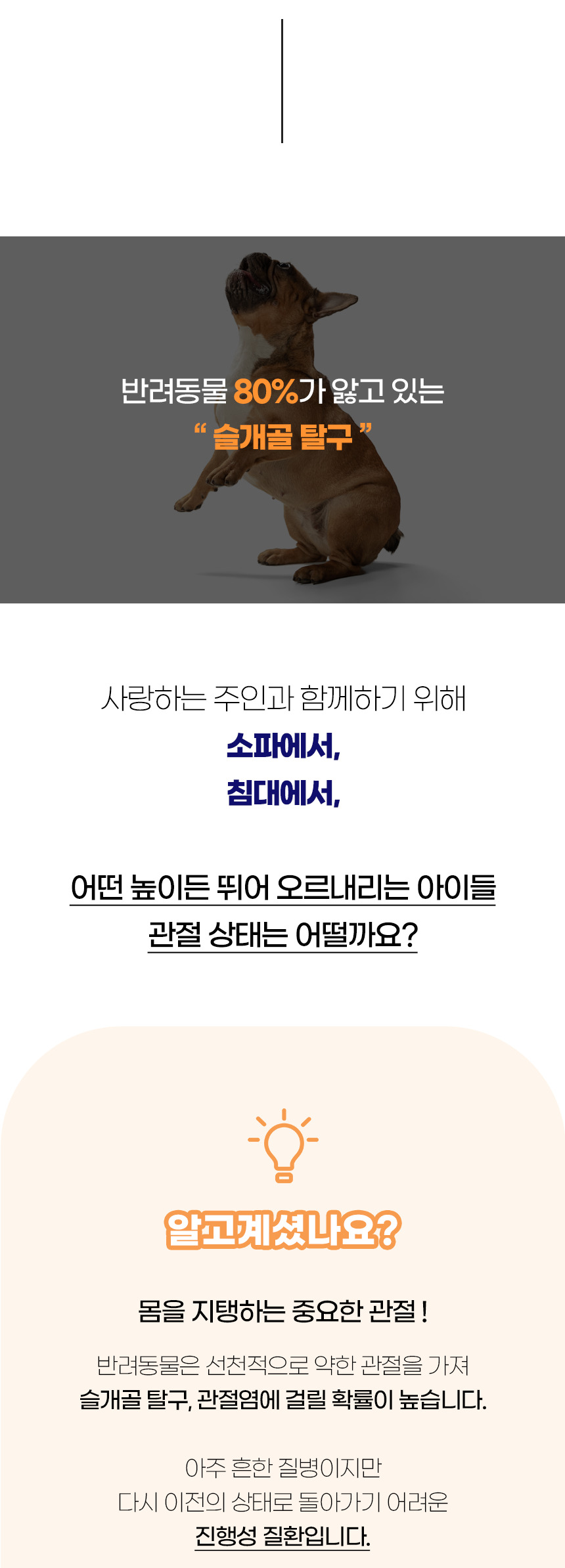[NEW신상][무료배송] 개과천선 독 포위츠 펫스텝 계단 (다크 베이지/다크 그레이) 2번째
