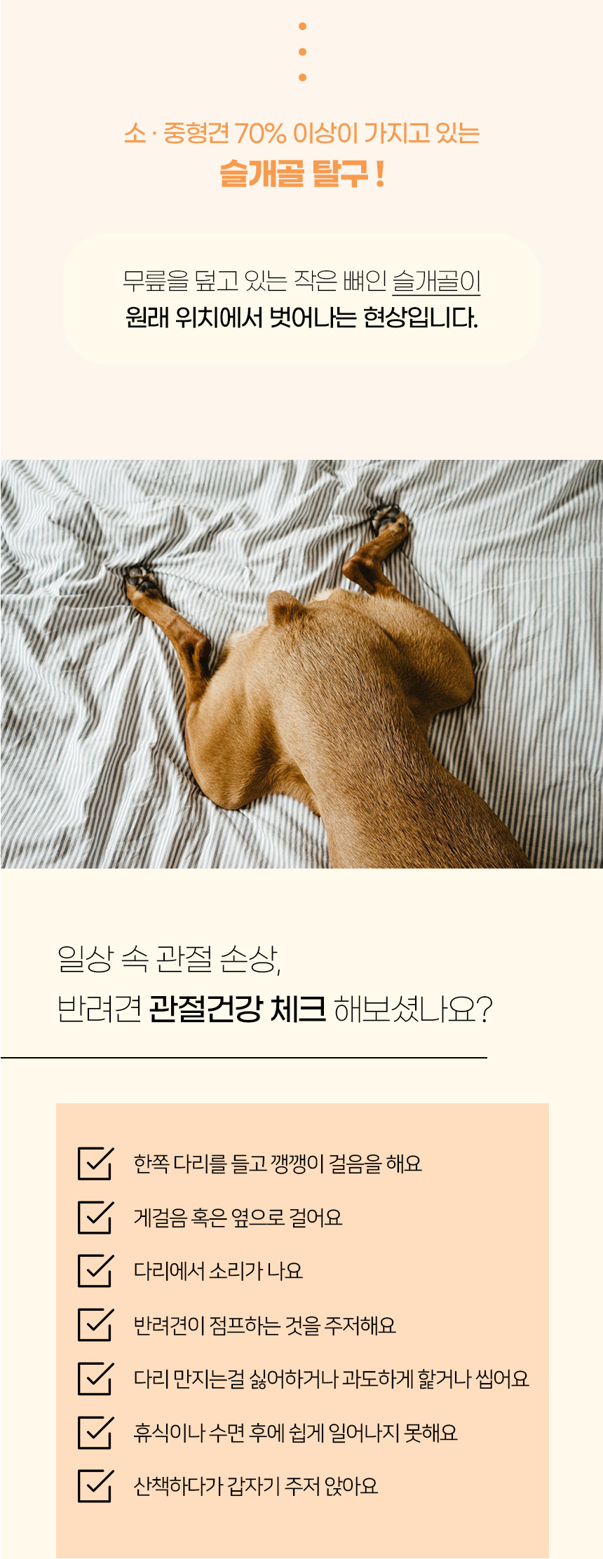 [NEW신상][무료배송] 개과천선 독 포위츠 펫스텝 계단 (다크 베이지/다크 그레이) 3번째
