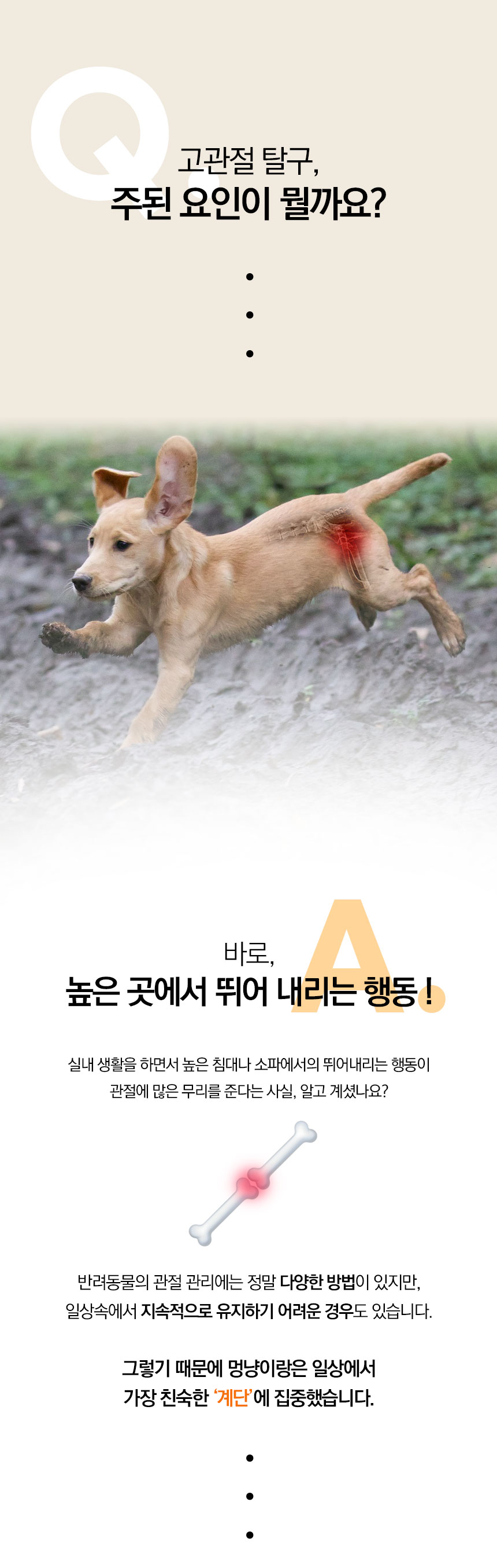[무료배송] 멍냥이랑 3단 접이식 수납 계단 3번째