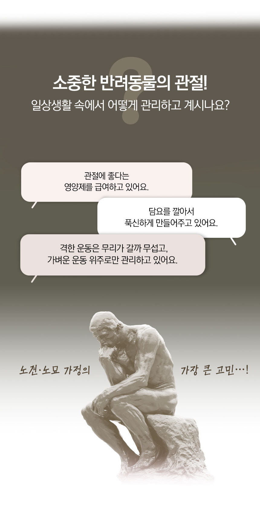 [무료배송] 멍냥이랑 3단 접이식 수납 계단 2번째