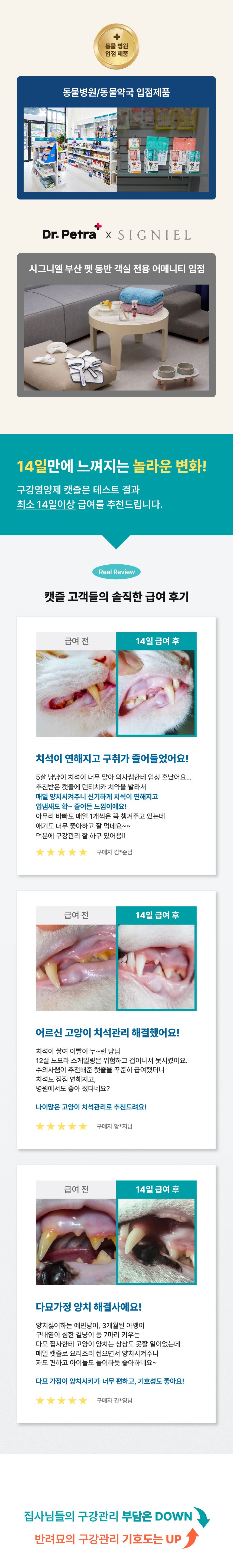 닥터페트라 캣즐 헤어볼&연어맛 20개입 5번째