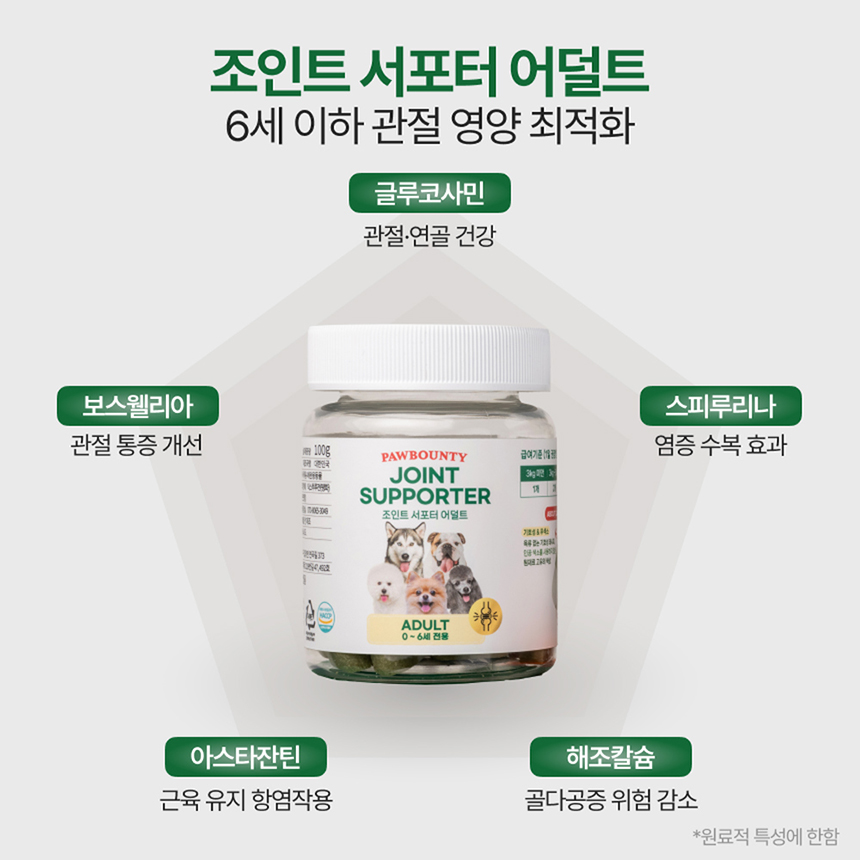[NEW신상][무료배송] 포바운티 독 조인트 서포트 어덜트 6세 이하 100g 19번째