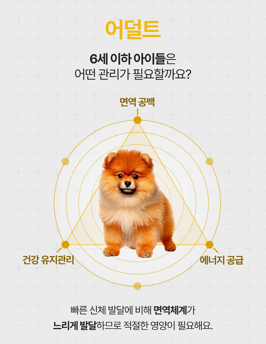 [NEW신상][무료배송] 포바운티 독 조인트 서포트 어덜트 6세 이하 100g 13번째