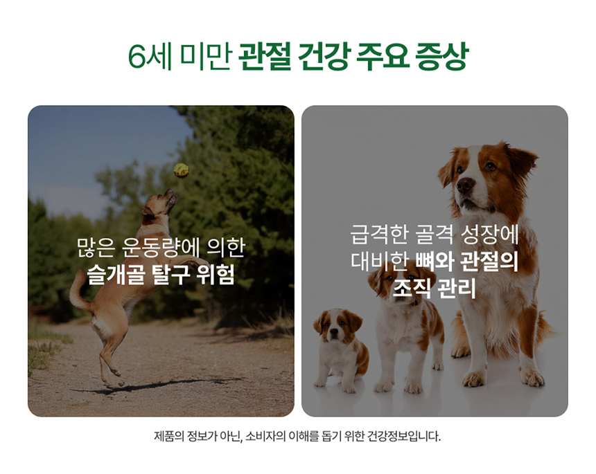 [NEW신상][무료배송] 포바운티 독 조인트 서포트 어덜트 6세 이하 100g 18번째