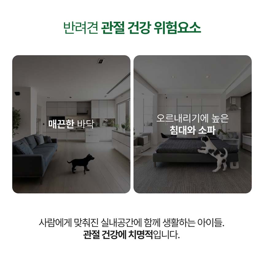 [NEW신상][무료배송] 포바운티 독 조인트 서포트 어덜트 6세 이하 100g 17번째