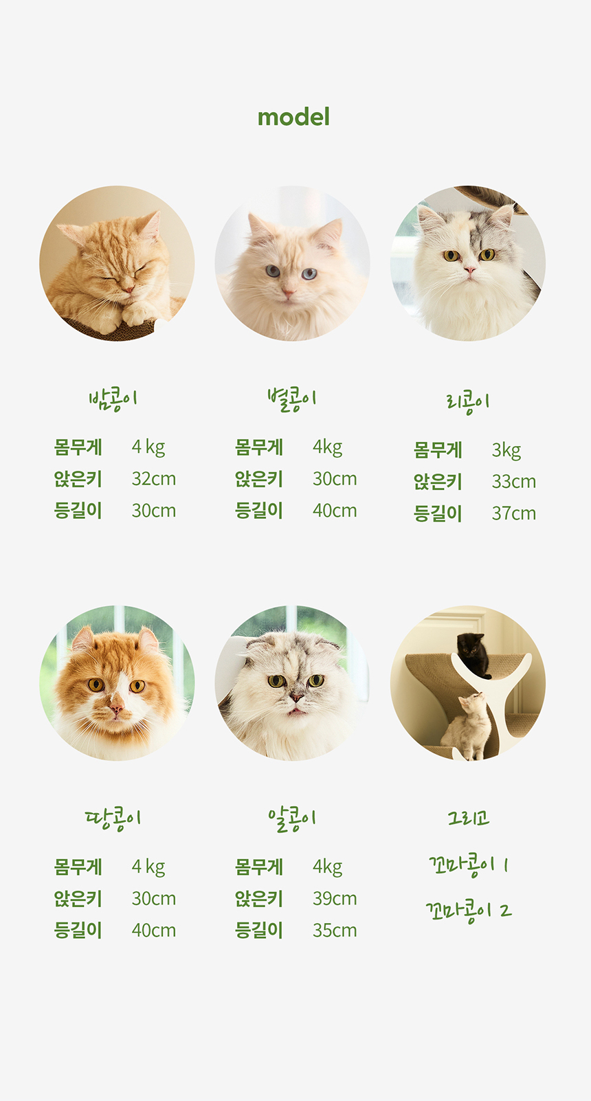 [무료배송] 두잇 키티트리 다묘용 스크래쳐 12번째